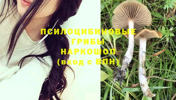 MESCALINE Горно-Алтайск